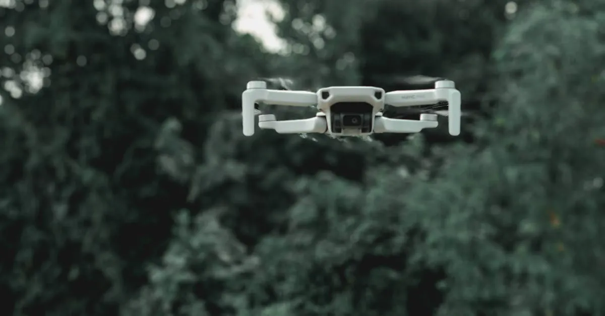 What Is a Drone?