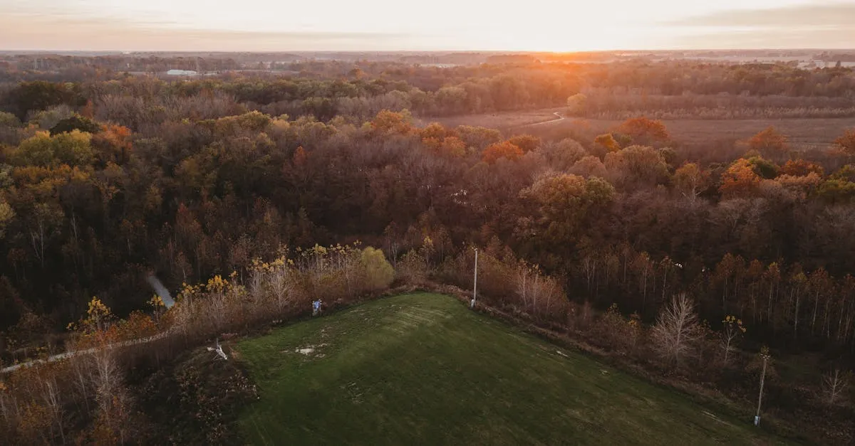 Golden Hour Drone Photography: Tips and Settings