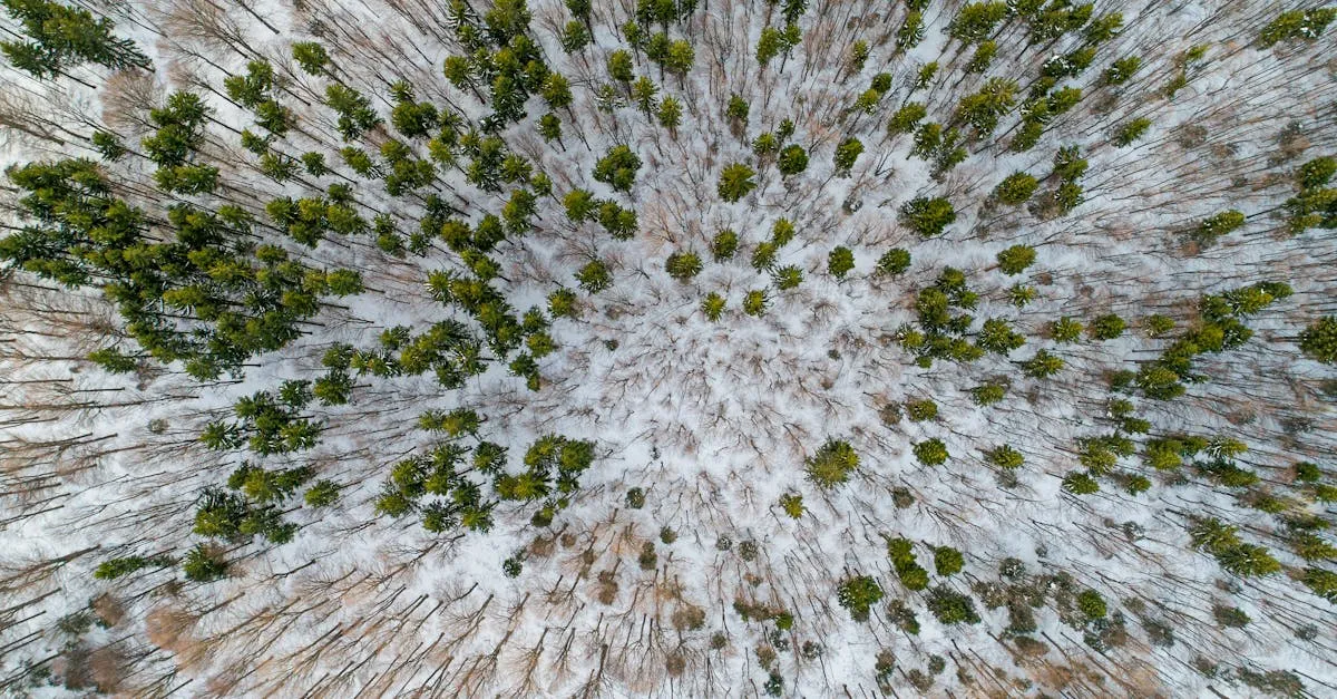 drone capturing aerial footage
