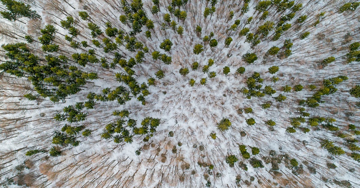 drone capturing aerial footage