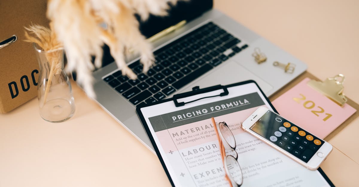 start drone business guide