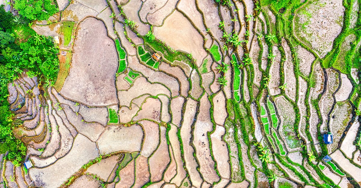 drone mapping equipment in field
