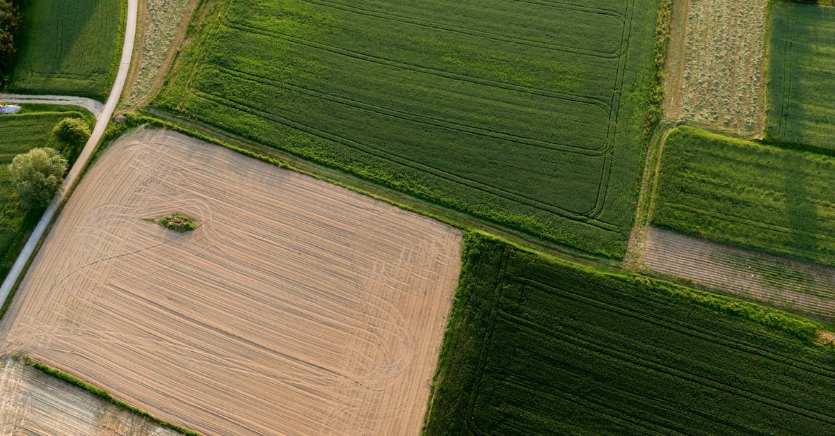 What Is Drone Mapping?