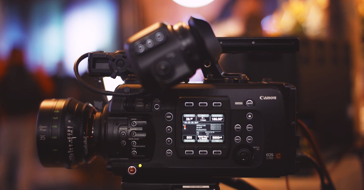 Editing and Exporting for Stock Agencies