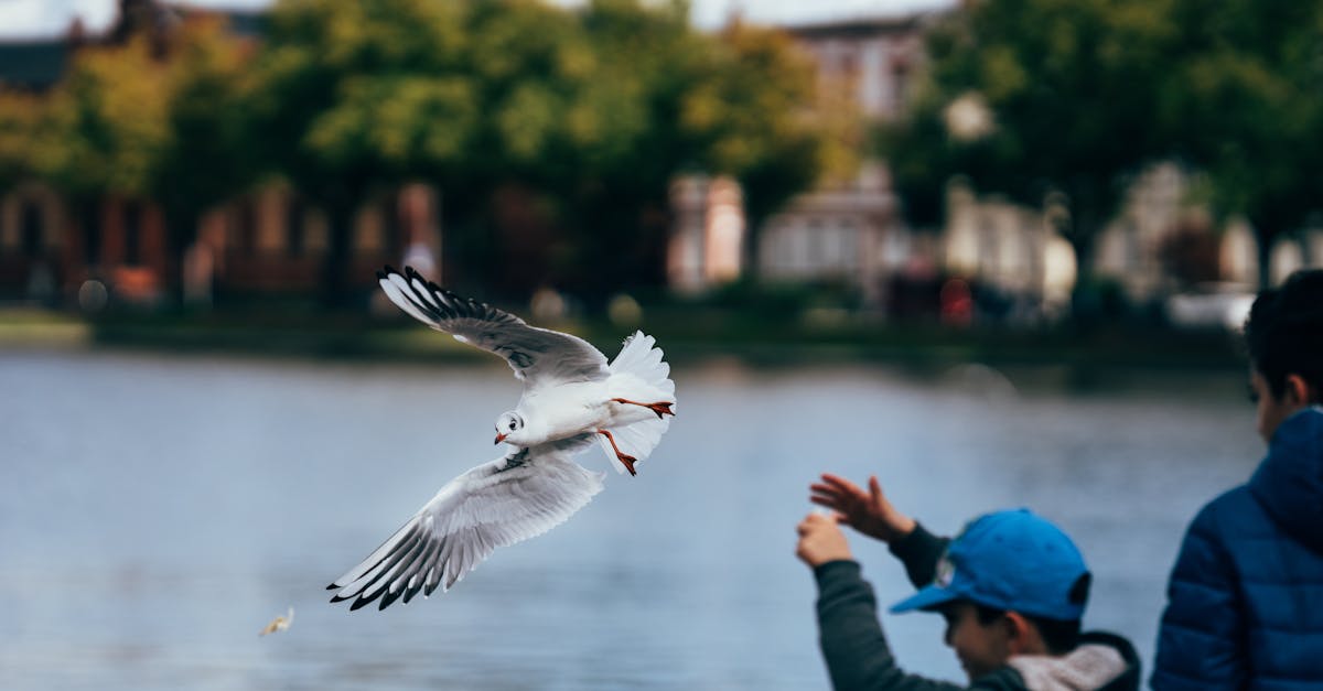 What Can You Do with a Drone