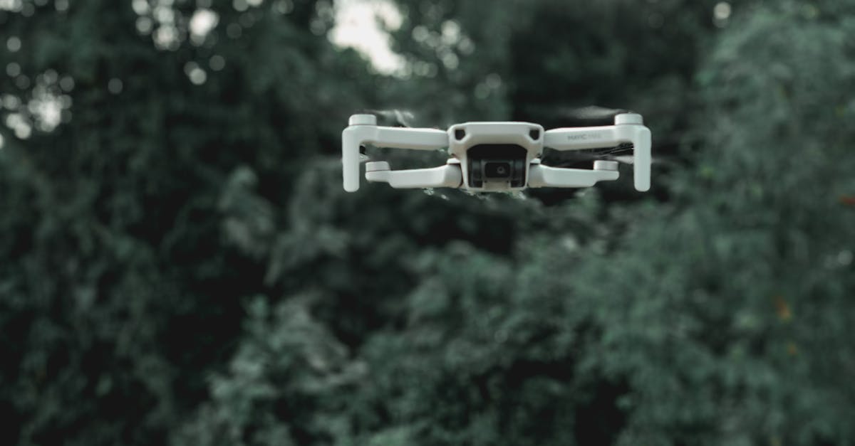 What Is a Drone?