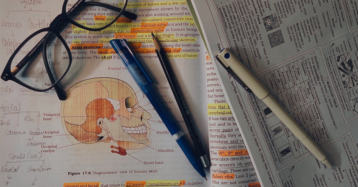 Study Strategies & Test Tips