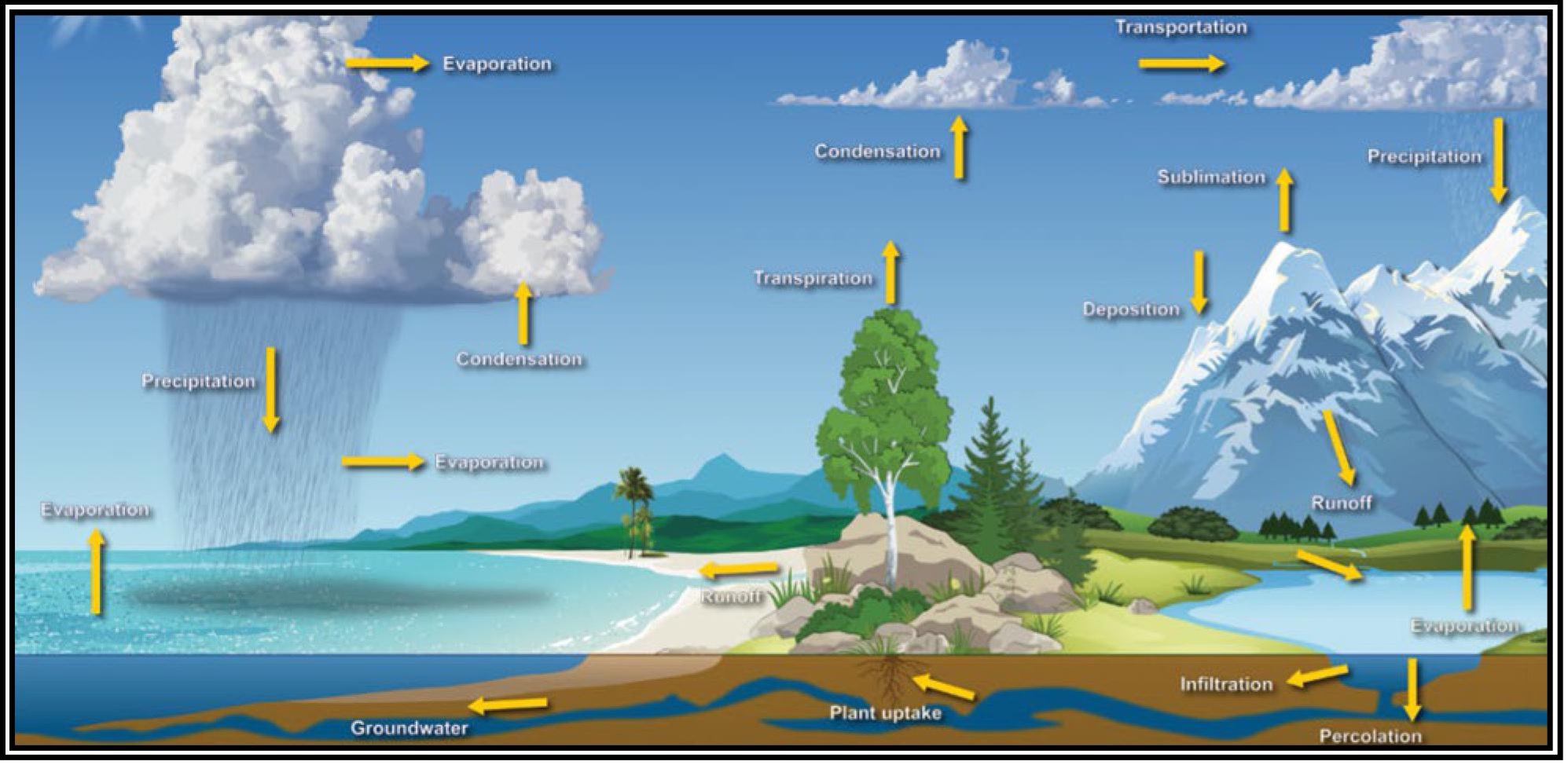 The hydrologic cycle