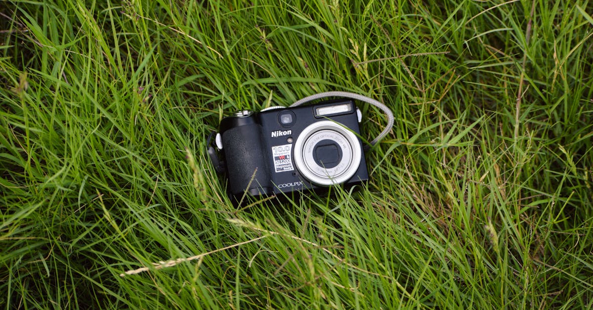 Camera Settings for TopDown