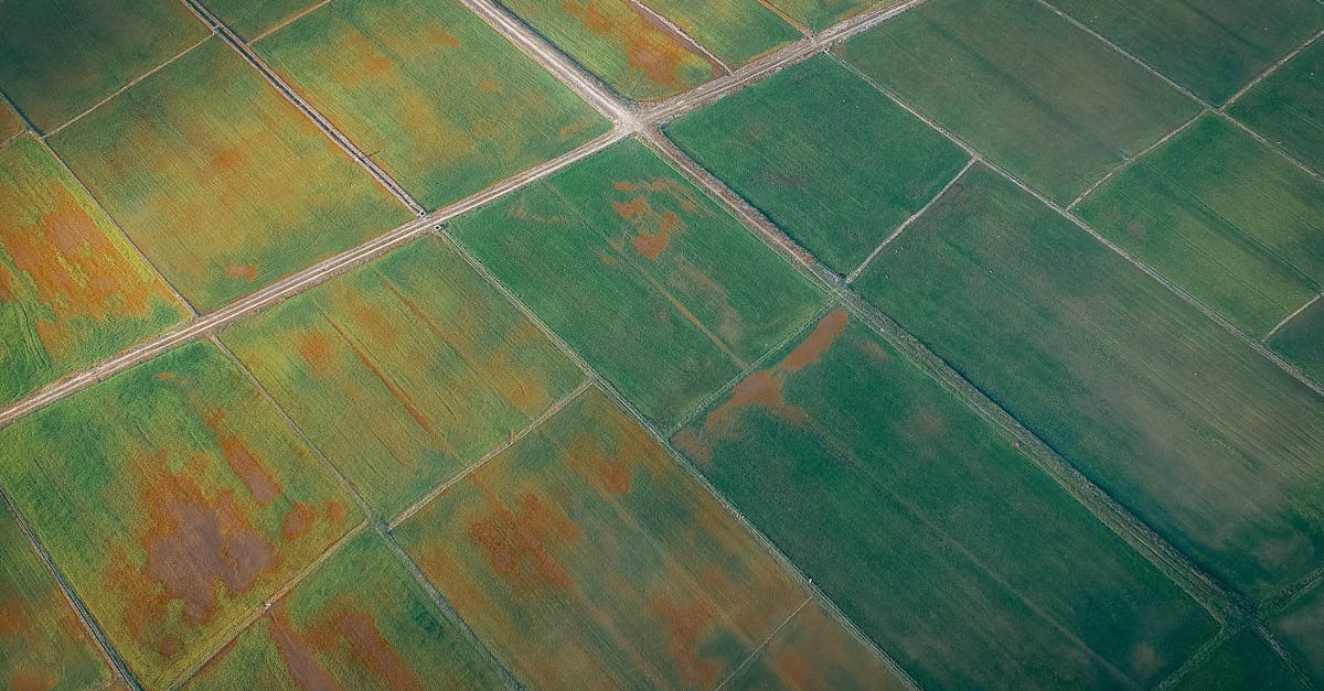 The Essential Travel Drone Shots